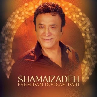 فهمیدم دوسم داری cover