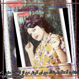 کبوتر من cover