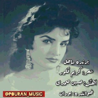 پرنده ساحل cover