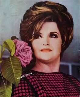 سپیده cover