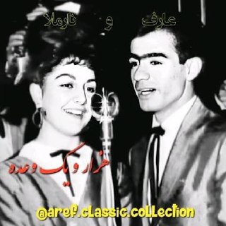 نفرينم بر دل cover